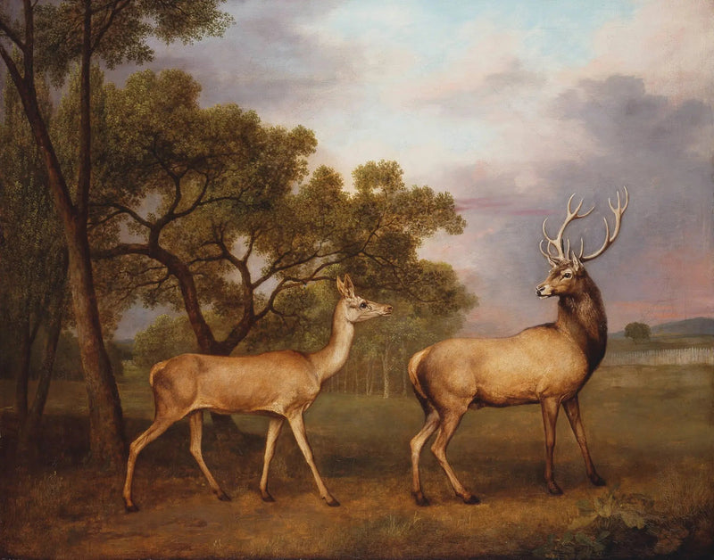 ジョージ・スタブスによる雄のエルクと雌鹿の絵画

Source:
Un cerf élaphe mâle et une biche - George Stubbs