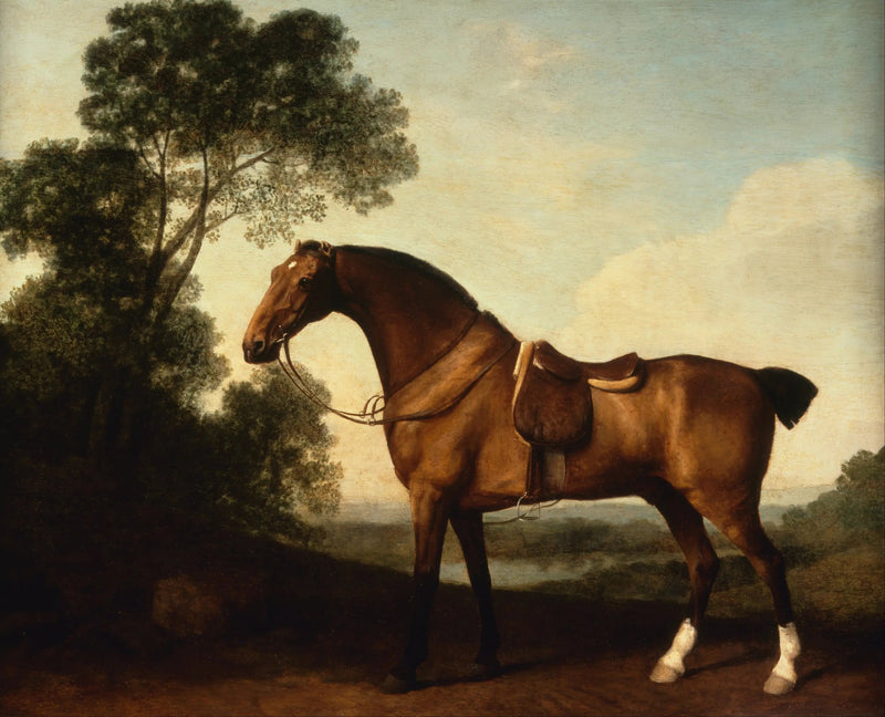シールされた湾の狩人 - ジョージ・スタブス

Source:
Un chasseur de baie sellé - George Stubbs