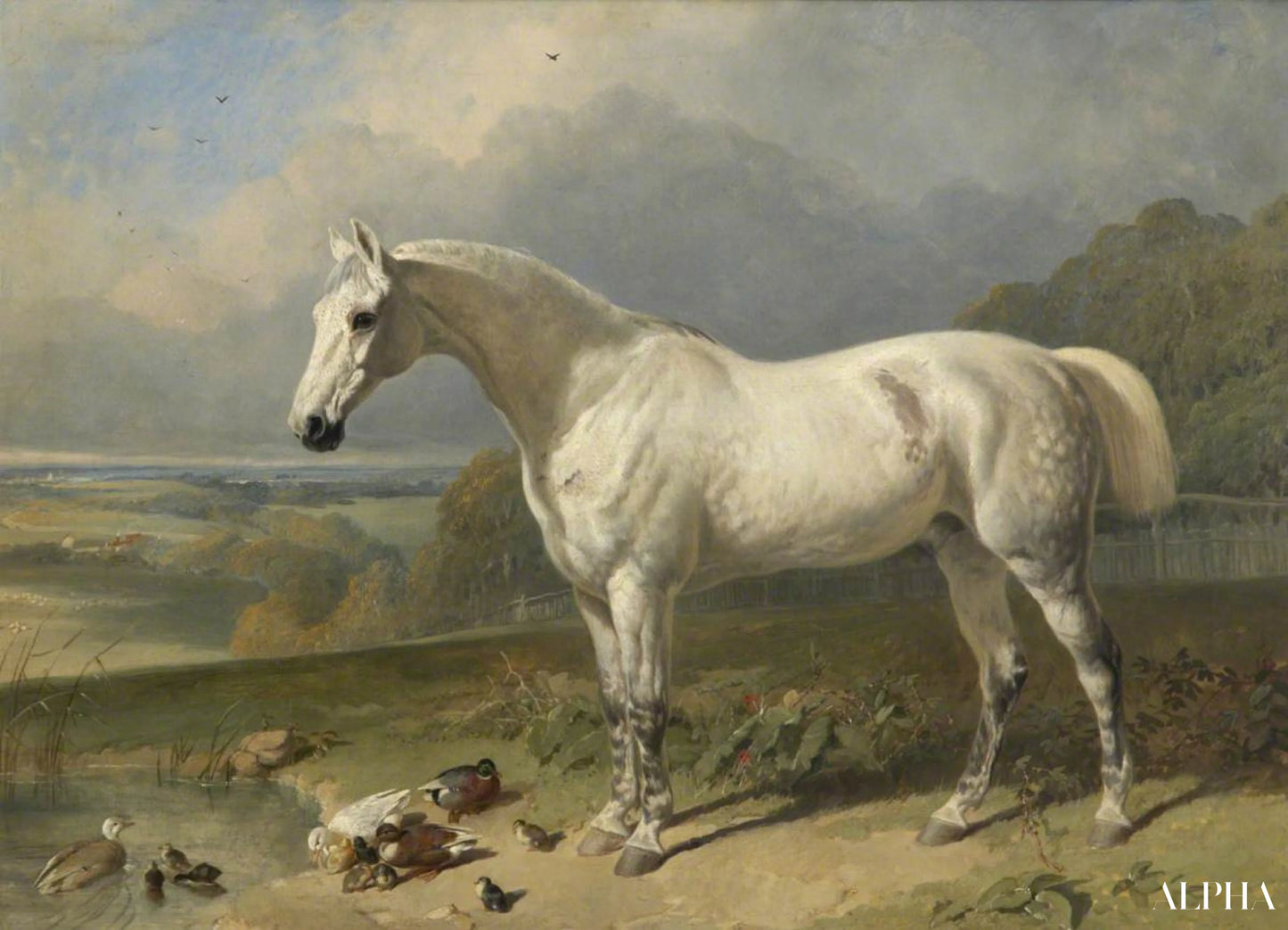 Un cheval gris et des canards dans un paysage - John Frederick Herring Snr - Reproductions de tableaux et peintures haut de gamme