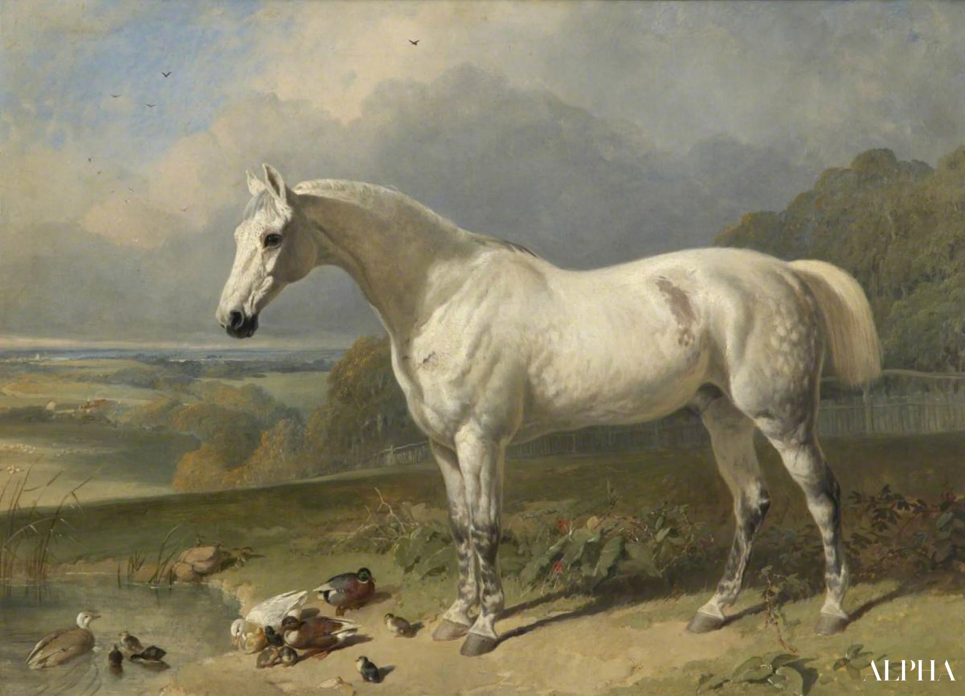 Un cheval gris et des canards dans un paysage - John Frederick Herring Snr - Reproductions de tableaux et peintures haut de gamme