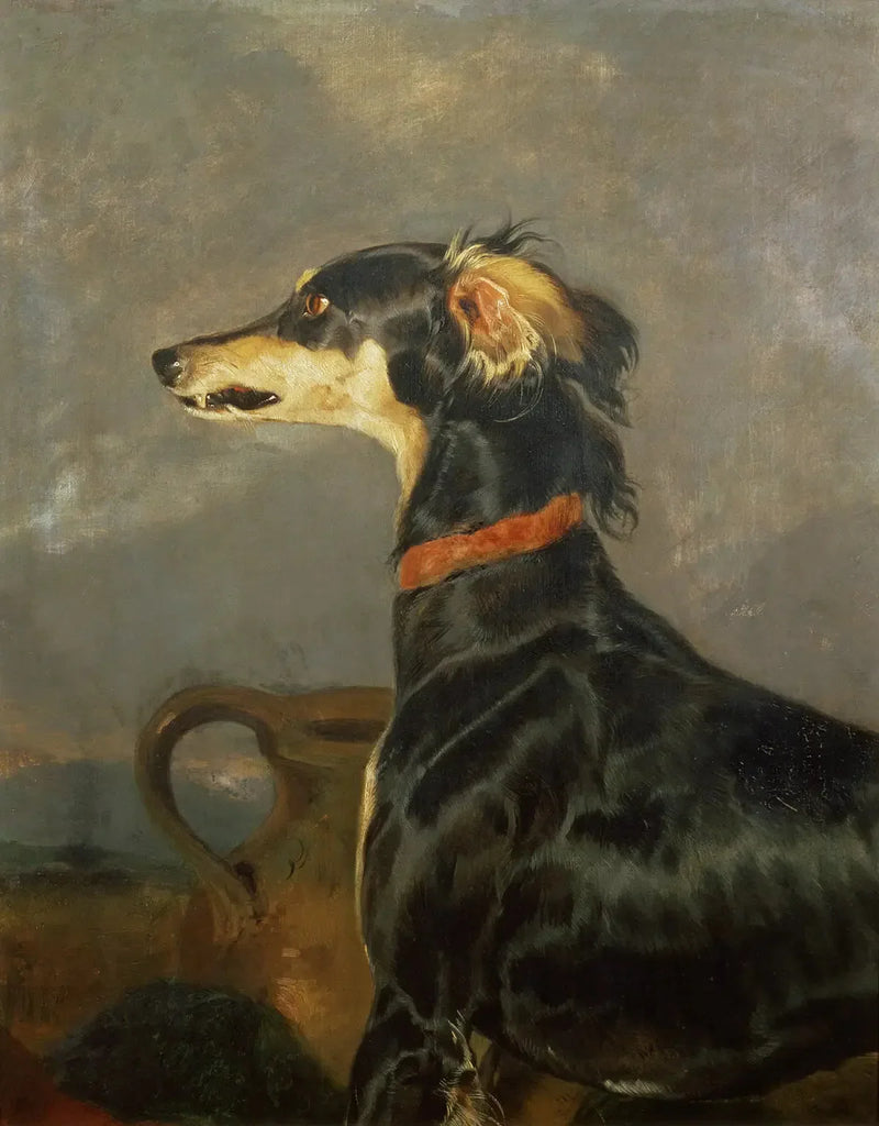 サルーキ犬 - エドウィン・ヘンリー・ランディーア

Source:
Un chien Saluki - Edwin Henry Landseer