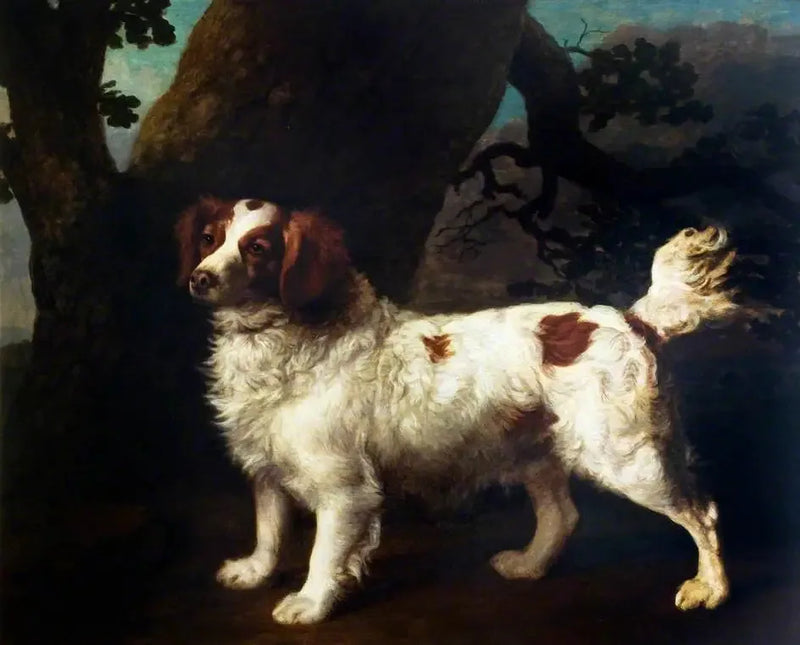 クランバー・スパニエル - ジョージ・スタッブス

Source:
Un Clumber Spaniel - George Stubbs