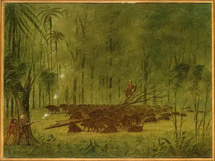 カリブ海のピカリと戦う - ジョージ・キャトリン

Source:
Un combat avec des pécaris - Caraïbes - George Catlin