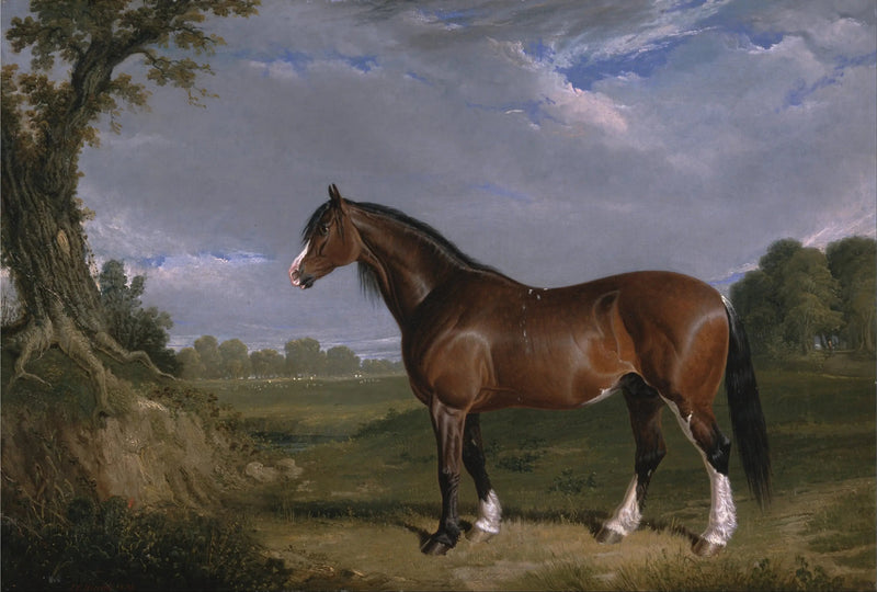 クライドスデール種馬 - ジョン・フレデリック・ヘリング Sr.  

Source:
Un étalon Clydesdale - John Frederick Herring, Sr.
