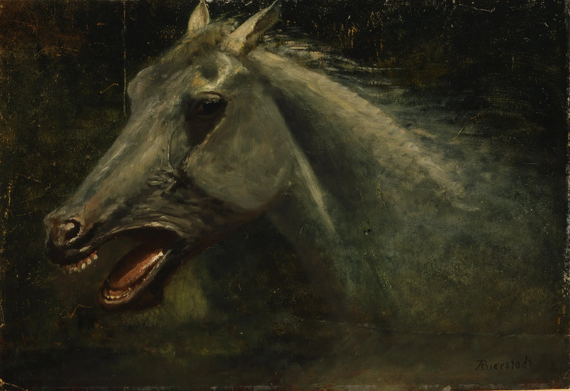 野生の雄馬 - アルバート・ビアスタット

Source:
Un étalon sauvage - Albert Bierstadt
