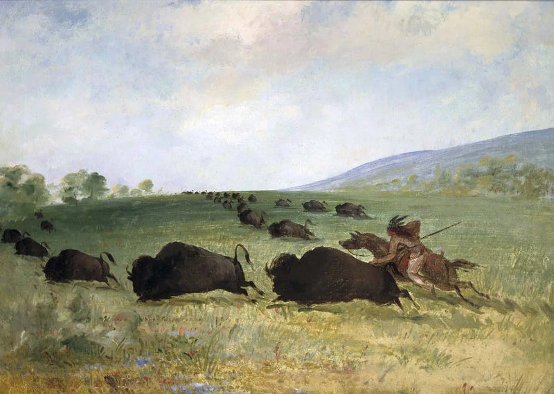 オジー・インディアンがバッファローを投げる - ジョージ・キャトリン

Source:
Un Indien Osage lance un buffle - George Catlin