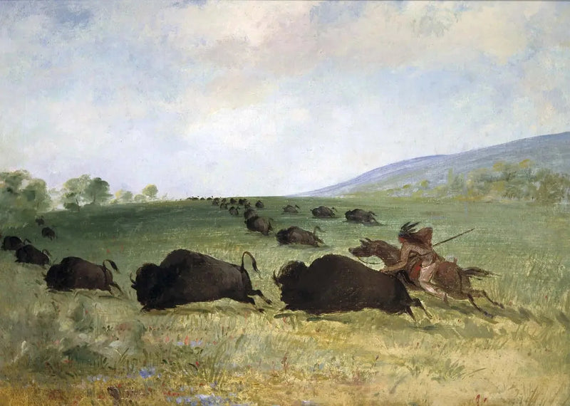 オジー・インディアンがバッファローを投げる - ジョージ・キャトリン

Source:
Un Indien Osage lance un buffle - George Catlin