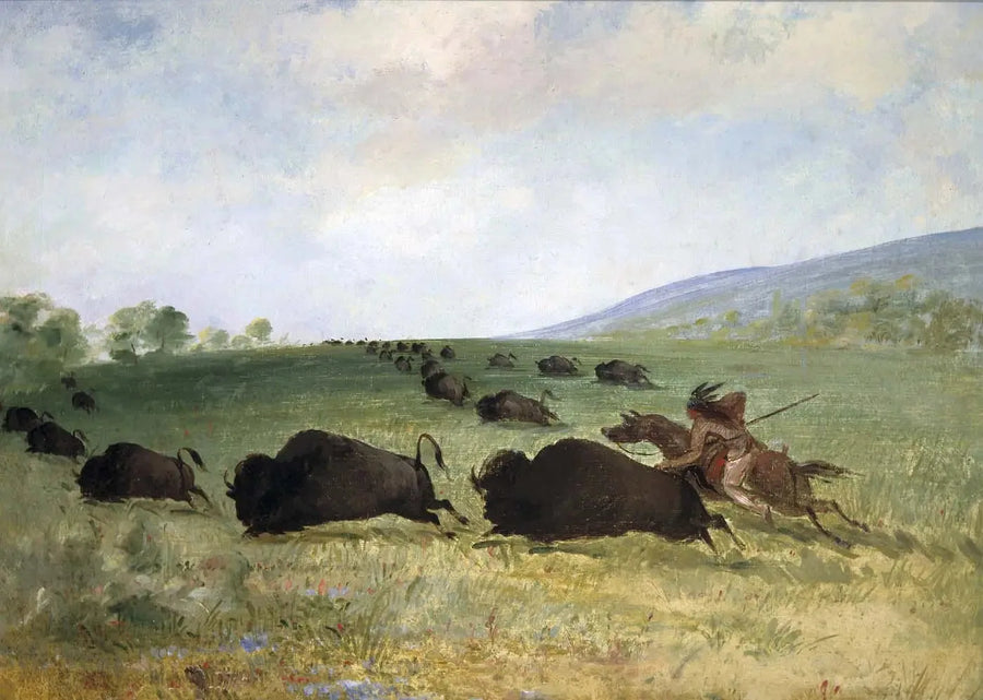 オジー・インディアンがバッファローを投げる - ジョージ・キャトリン

Source:
Un Indien Osage lance un buffle - George Catlin