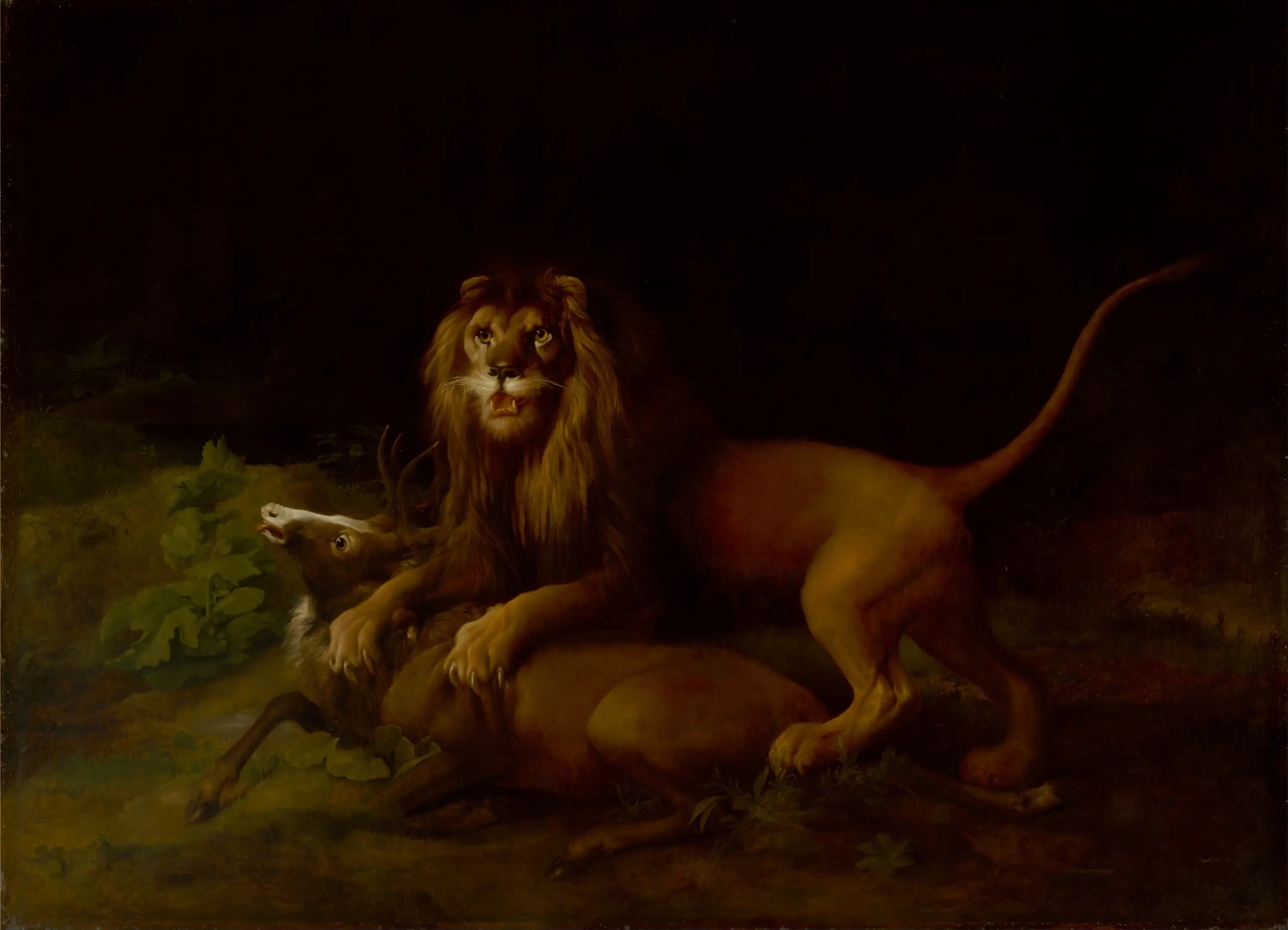 Un lion attaquant un cerf - George Stubbs image 1 copie peinte à la main à l’huile