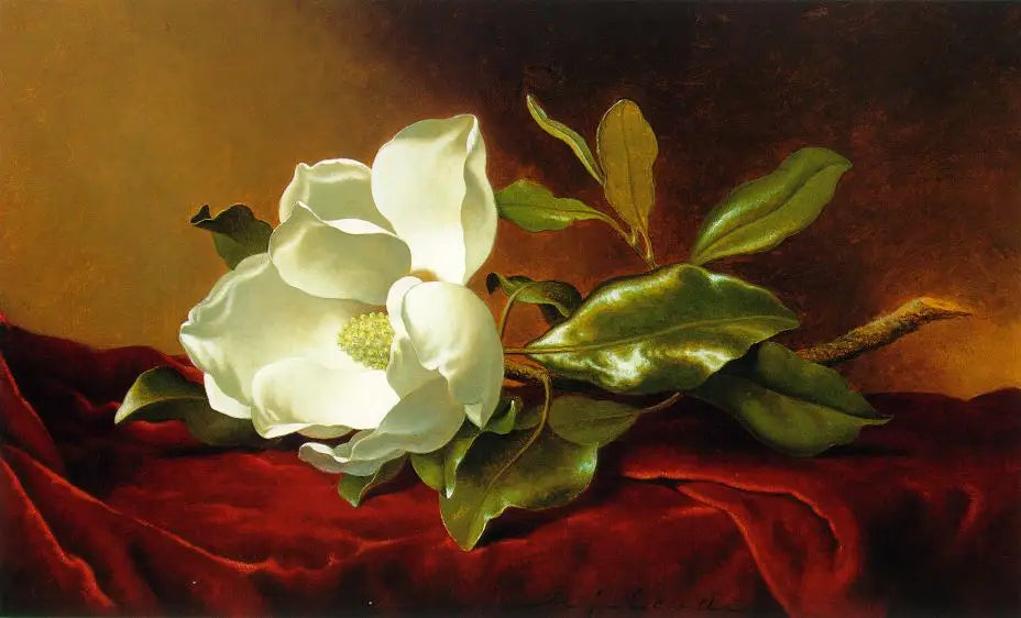 Un magnolia sur du velours rouge - Martin Johnson Heade - Alpha Reproduction