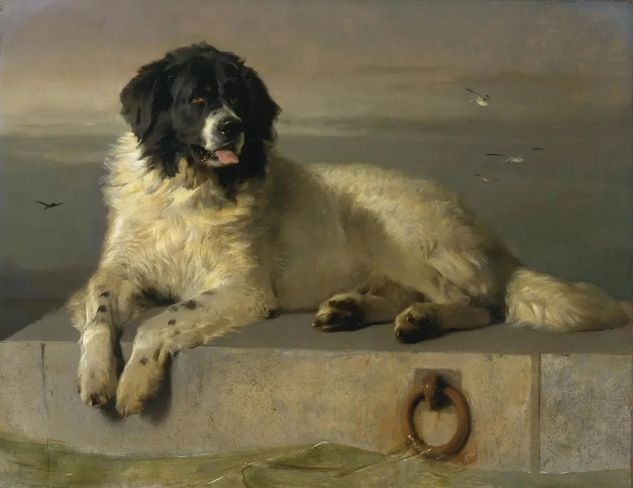 ヒューメイン・ソサエティの名誉会員 - エドウィン・ヘンリー・ランシー

Source:
Un membre distingué de la Humane Society - Edwin Henry Landseer