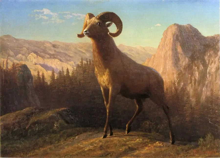 ロッキー山脈の羊、オビス、モンタナ - アルバート・ビアシュタット

Source:
Un mouton des montagnes Rocheuses, Ovis, Montana - Albert Bierstadt