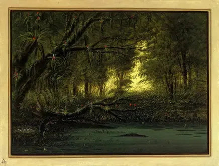 アリゲーターの巣 - ジョージ・キャトリン

Source:
Un nid d'alligator - George Catlin