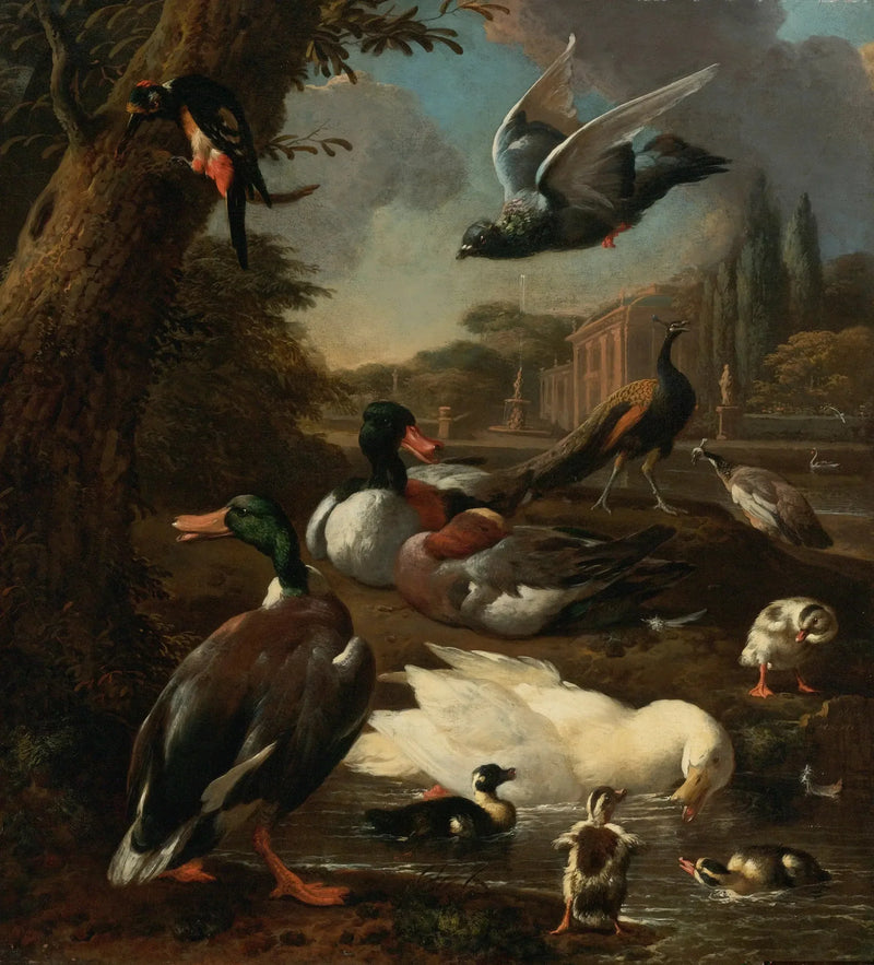 庭園の中の孔雀、鳩、アヒル、その他の鳥たち - メルキオール・ド・ホンデコーター