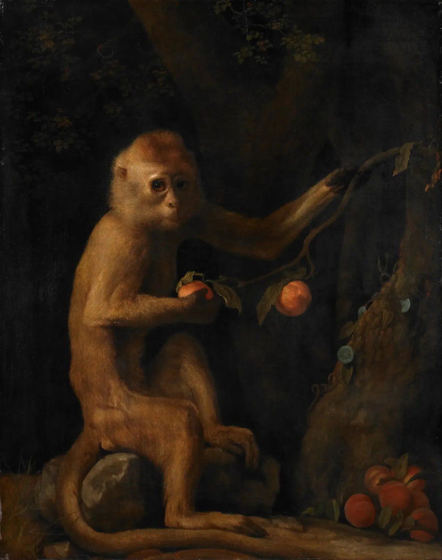 サル - ジョージ・スタッブス

Source:
Un singe - George Stubbs
