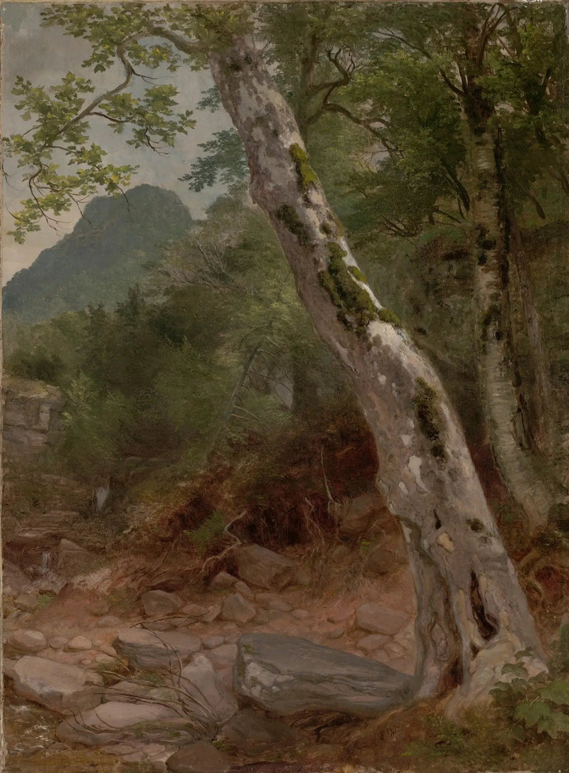 シコモア、プレーターキル・クローブ - アッシャー・ブラウン・デュランド

Source:
Un sycomore, Plaaterkill Clove - Asher Brown Durand