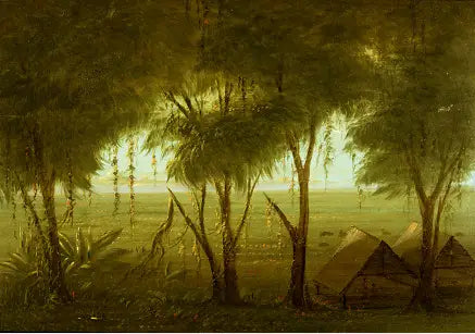 コニボの村 - ジョージ・キャトリン

Source:
Un village de Connibo - George Catlin
