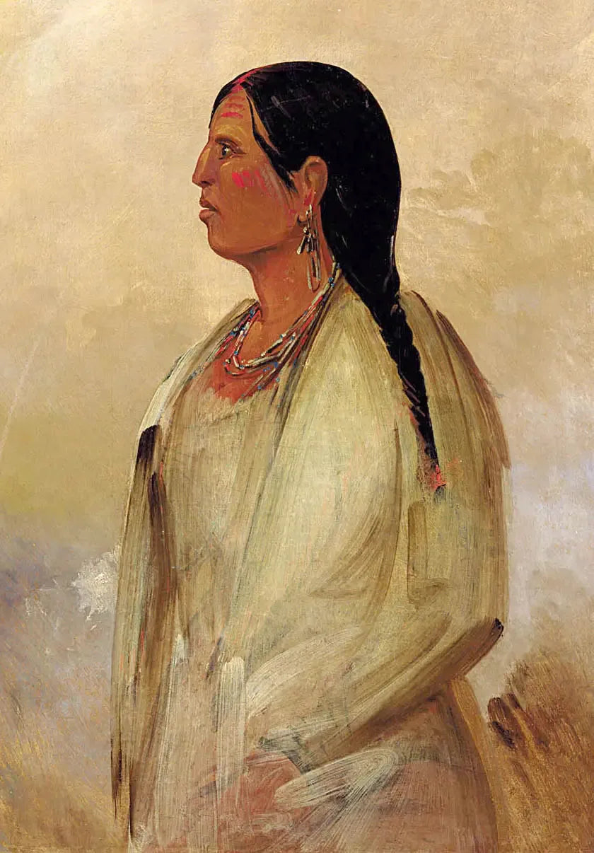 チョクトー族の女性 - ジョージ・キャトリン

Source:
Une femme Choctaw - George Catlin