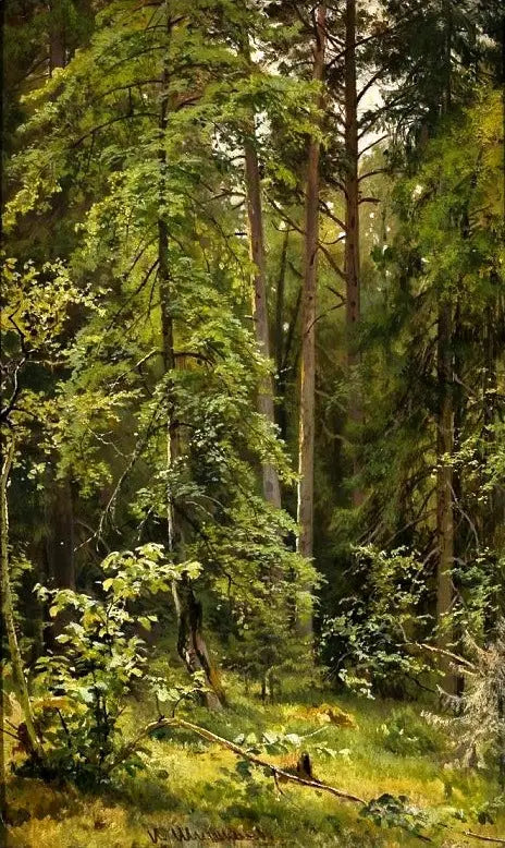 森 - イワン・チチキン

Source:
Une forêt - Ivan Chichkine
