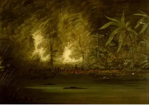 アマゾン川上流のラグーン - ジョージ・キャトリン

Source:
Une lagune du Haut Amazone - George Catlin