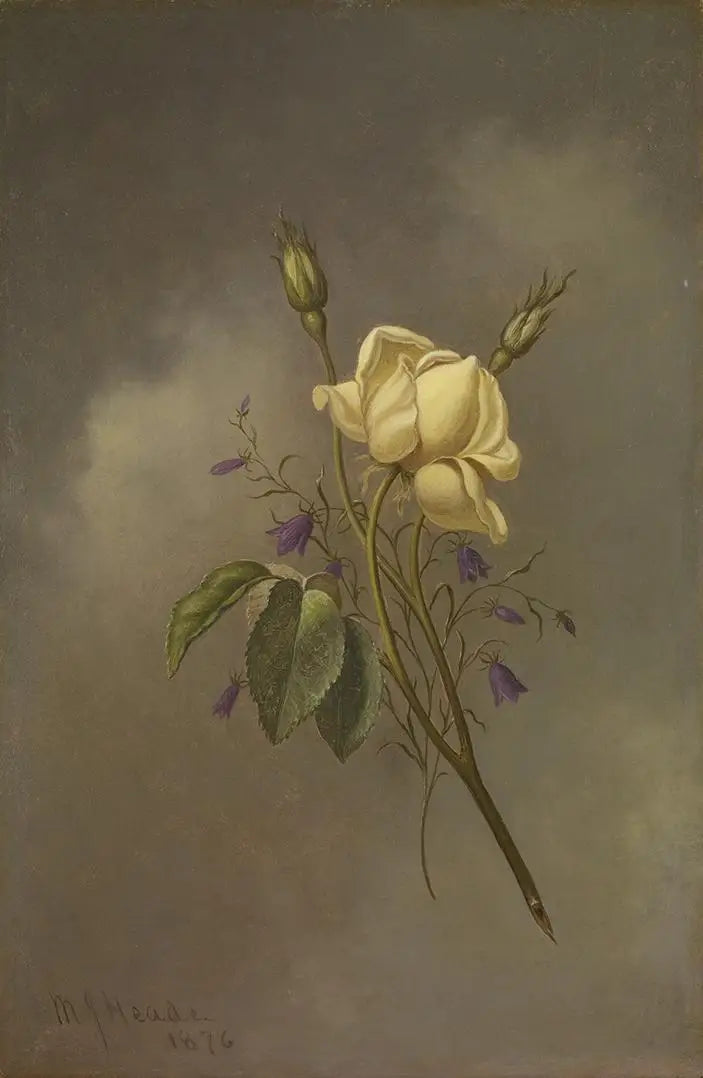 曇った空に対する黄色いバラ - マーティン・ジョンソン・ヒード

Source:
Une rose jaune contre un ciel nuageux - Martin Johnson Heade