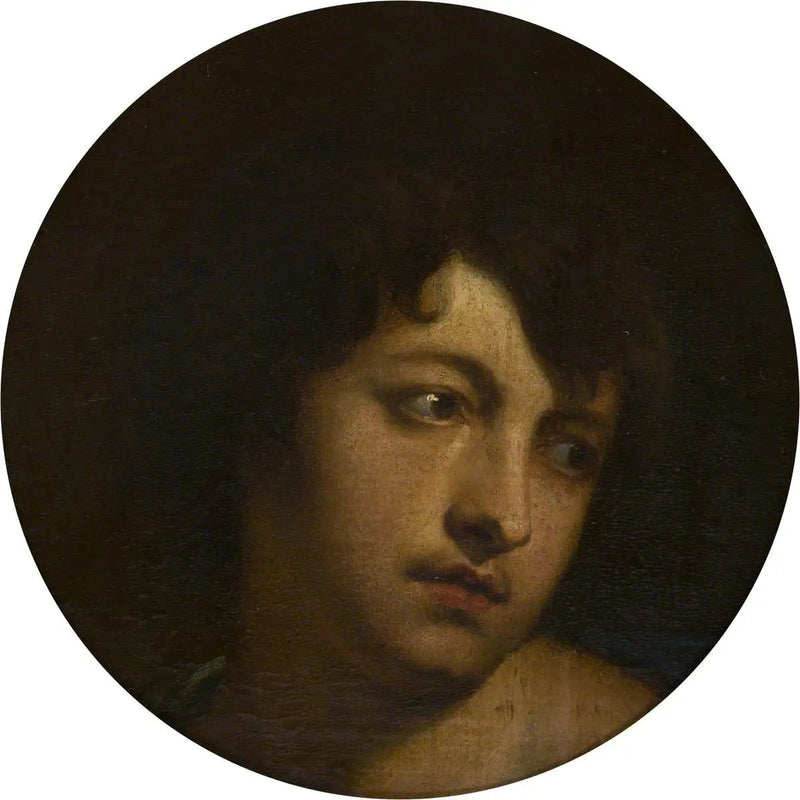ヴァン・ダイクによるパリの役 - アントワーヌ・ヴァン・ダイク

Source:
Van Dyck dans le rôle de Paris - Antoine van Dyck
