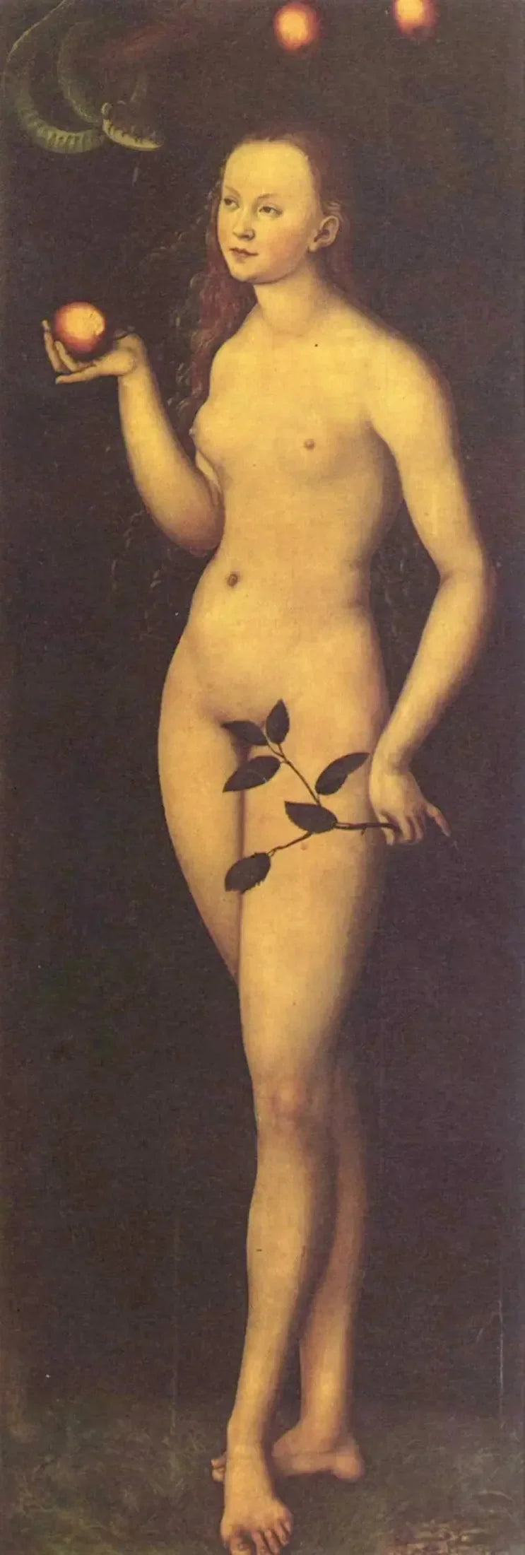 ヴェイユ - ルーカス・クラナッハ・ザ・エルダー