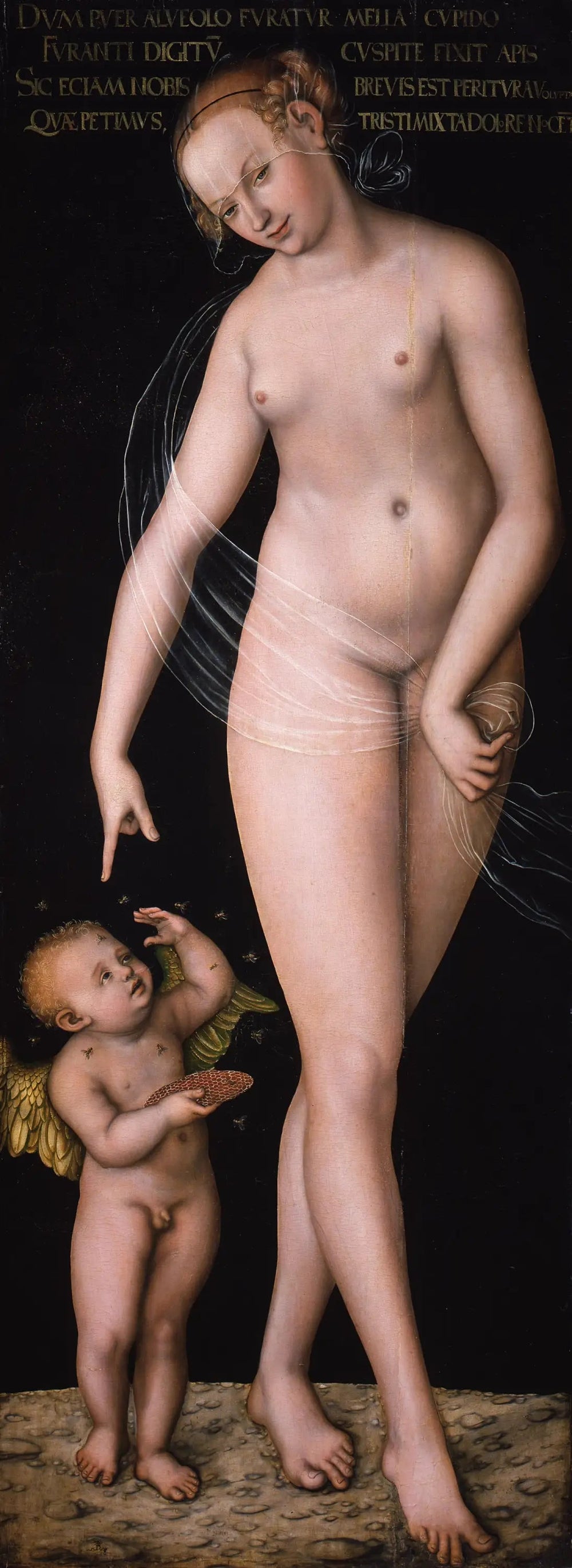 Vénus avec Cupidon le voleur de miel - Lucas Cranach the Elder image 1 reproduction artisanale de tableau