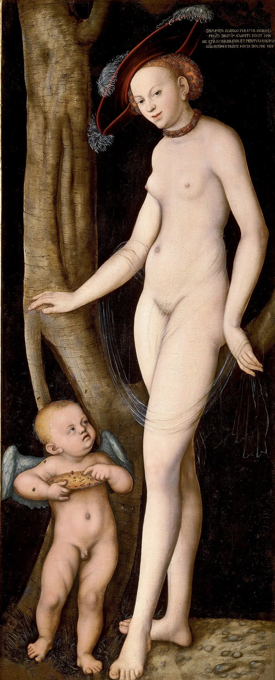 Vénus avec Cupidon voleur de miel - Lucas Cranach the Elder image 1 tableau peint à l’huile sur toile