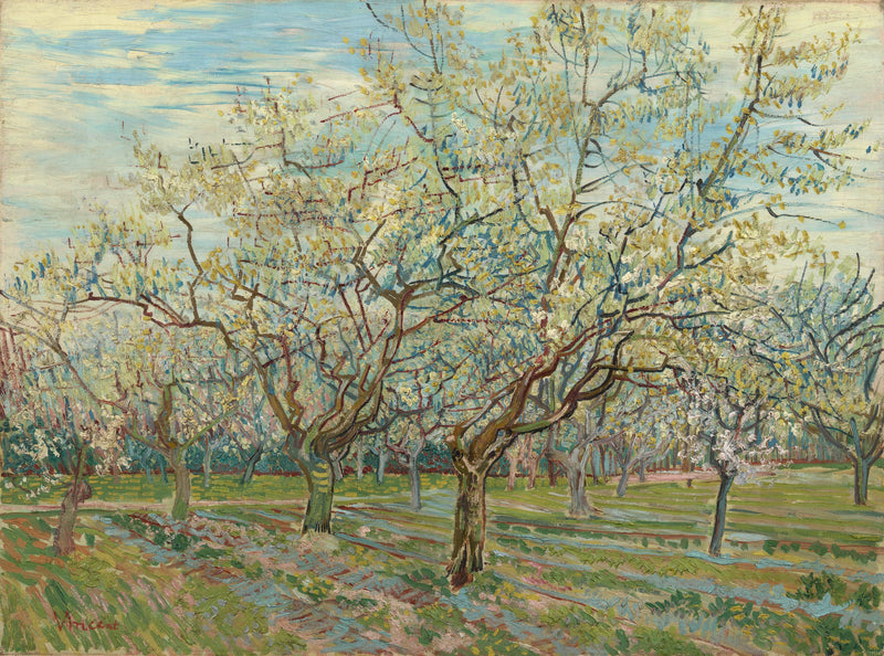 白い果樹園 - Vincent van Gogh