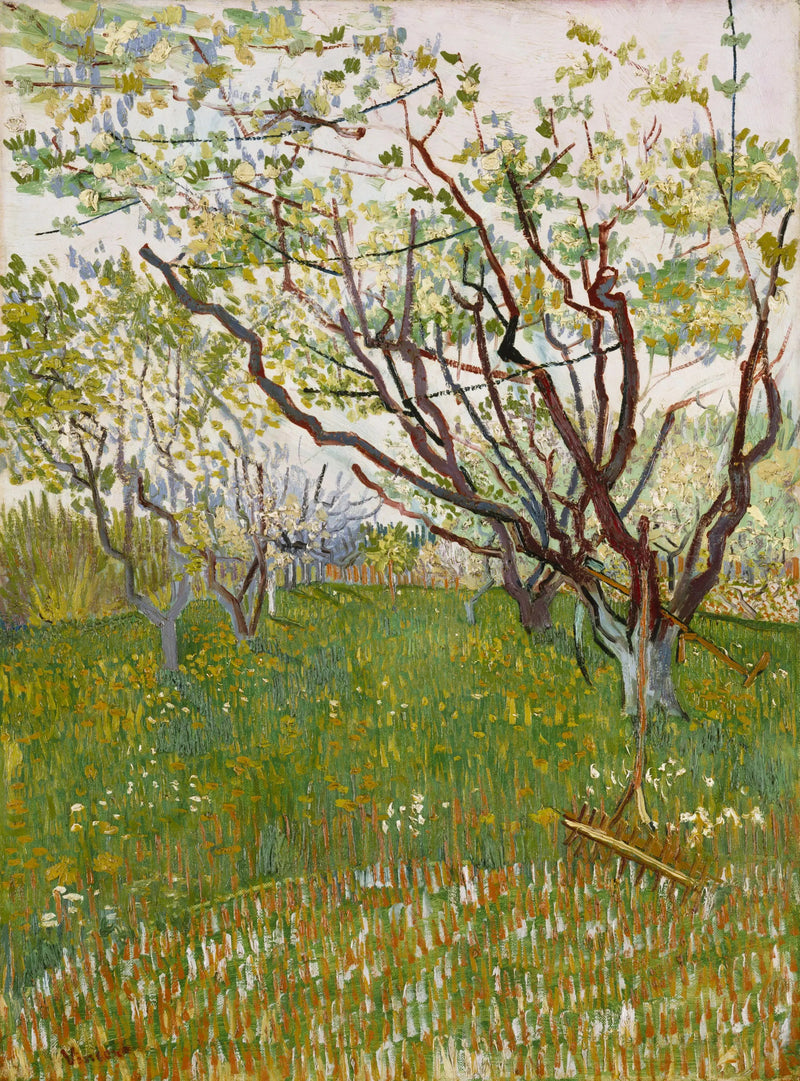 花咲く果樹園 - Vincent van Gogh