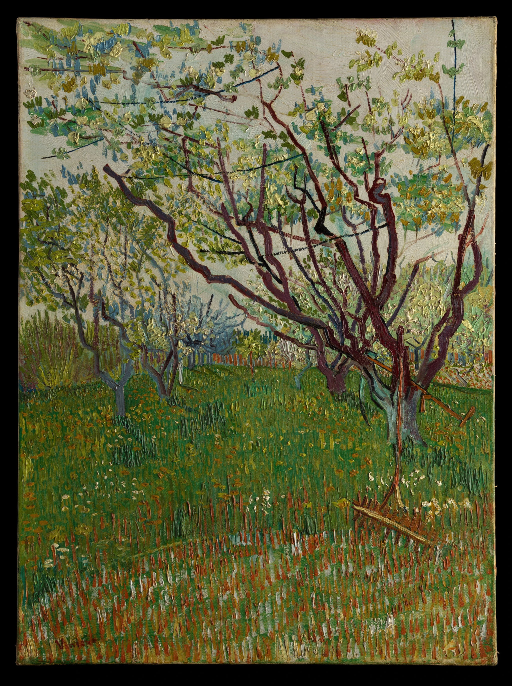 Le Verger en fleurs F552 de Vincent van Gogh, Metropolitan Museum of Art