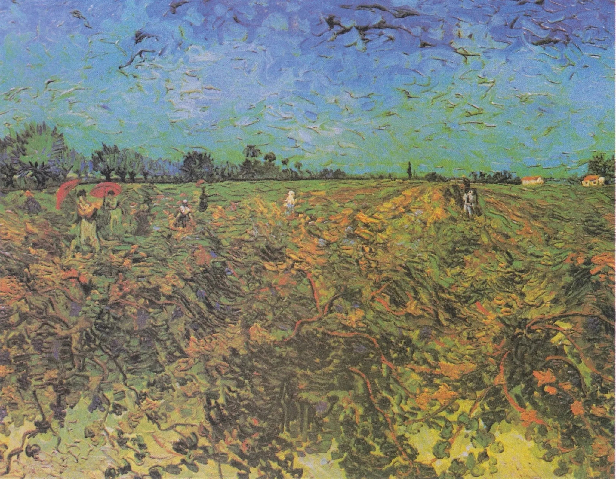 La Vigne verte F475 de Vincent van Gogh, Kröller-Müller Museum
