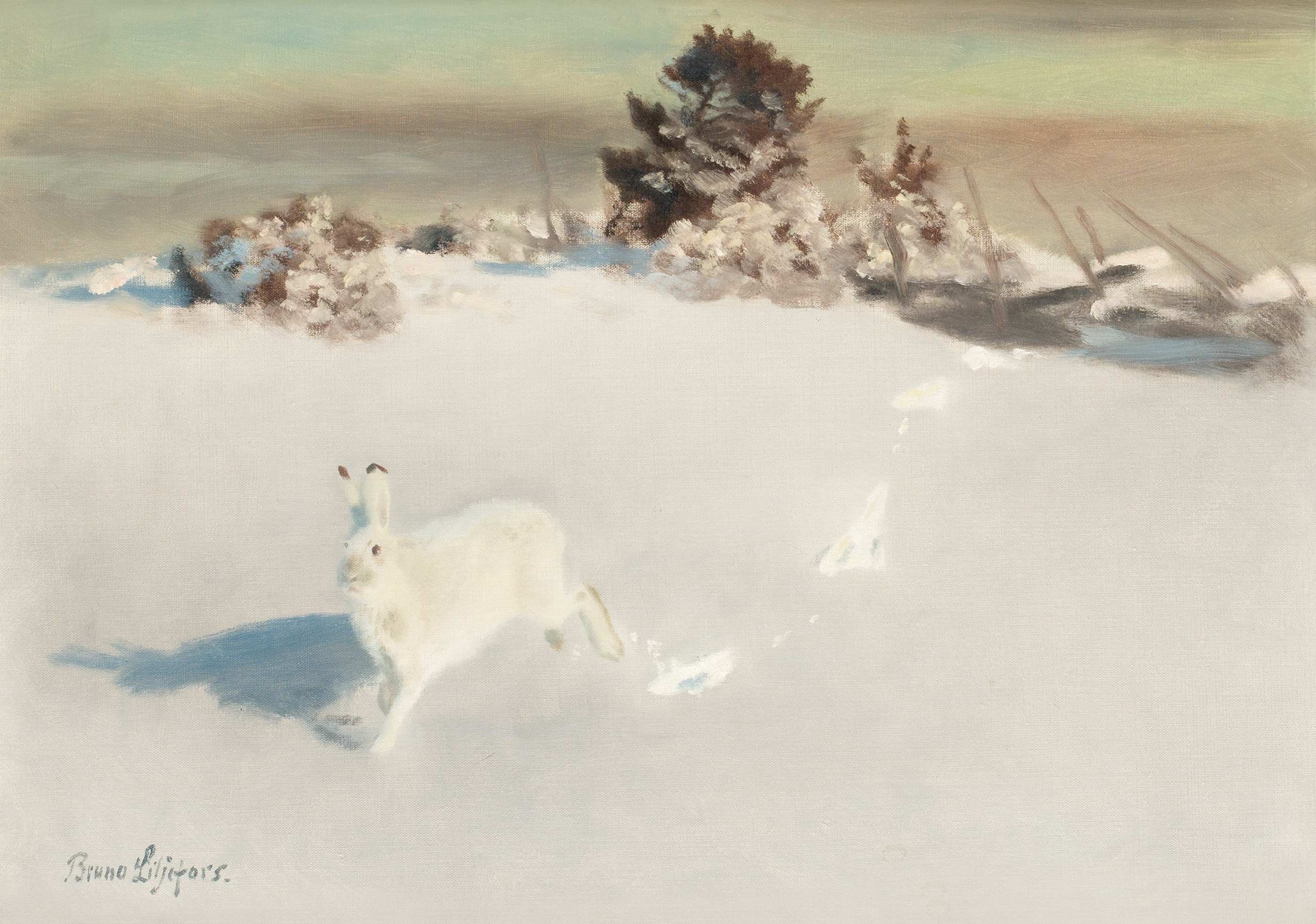 Vinterhare vid gärdesgård - Bruno Liljefors image 1 reproduction d’œuvre d’art à l’huile