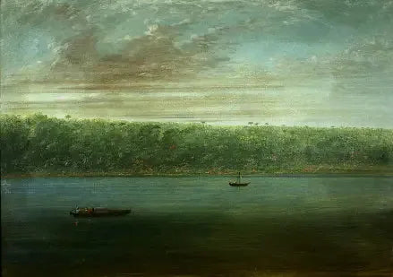 アマゾン川の岸辺の眺め - ボートのスケッチ - ジョージ・キャトリン

Source:
Vue de la rive de l'Amazone - Croquis de bateau - George Catlin