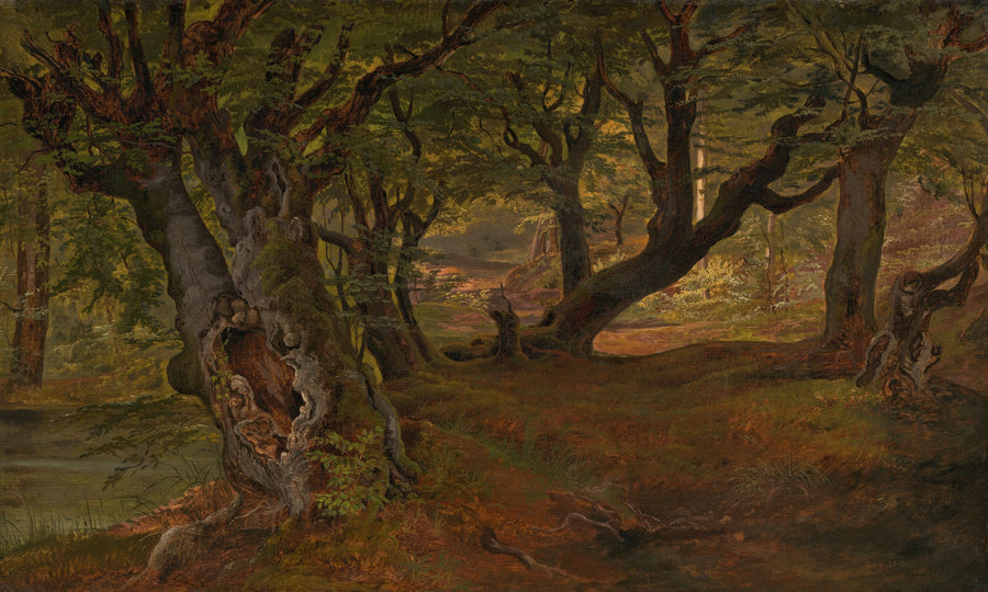 Vue sur la forêt de Bregentved, Sjaeeland - Frederik Sødring