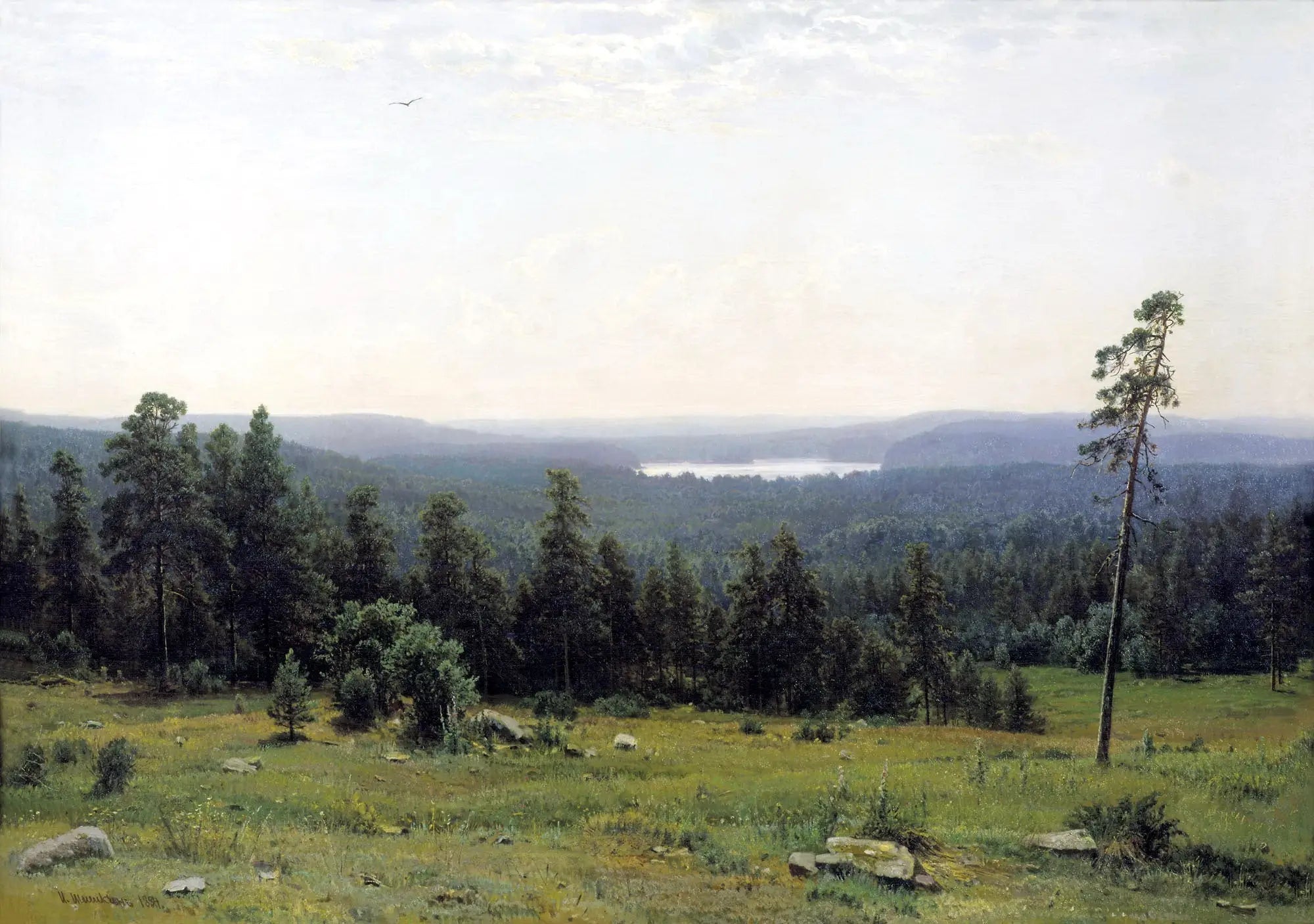 Vues lointaines de la forêt - Ivan Chichkine - Alpha Reproduction