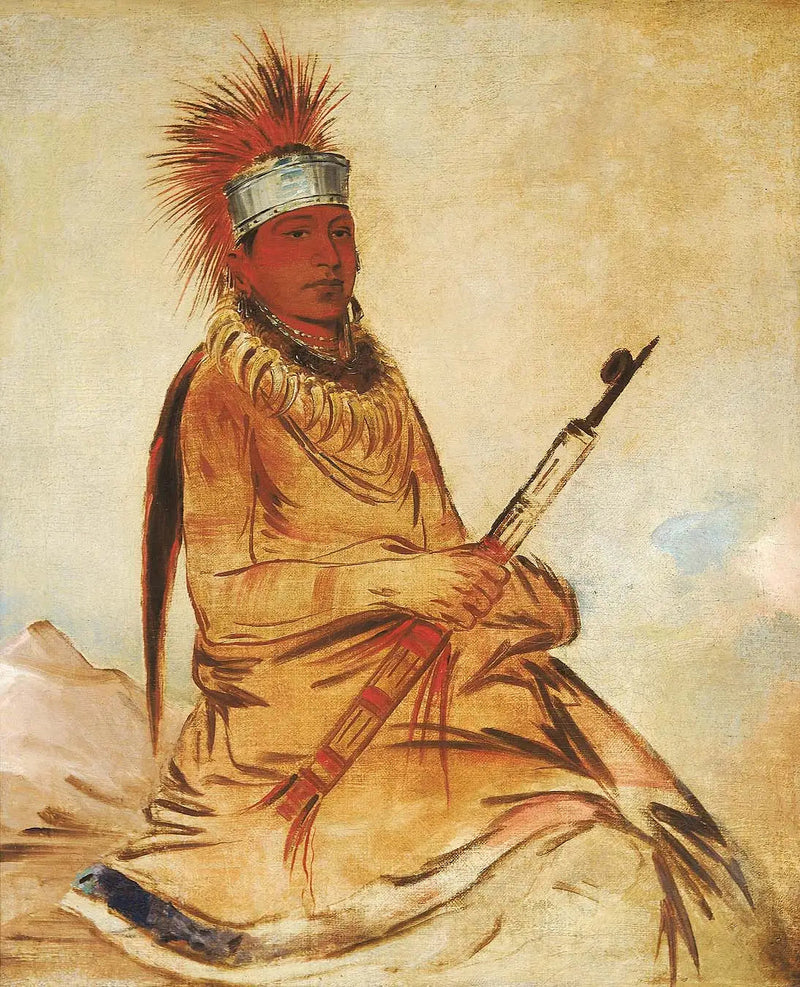 良識のある男、誠実な男 - ジョージ・キャトリン

Source:
W'y-ee-yogh, homme de bon sens, un brave - George Catlin