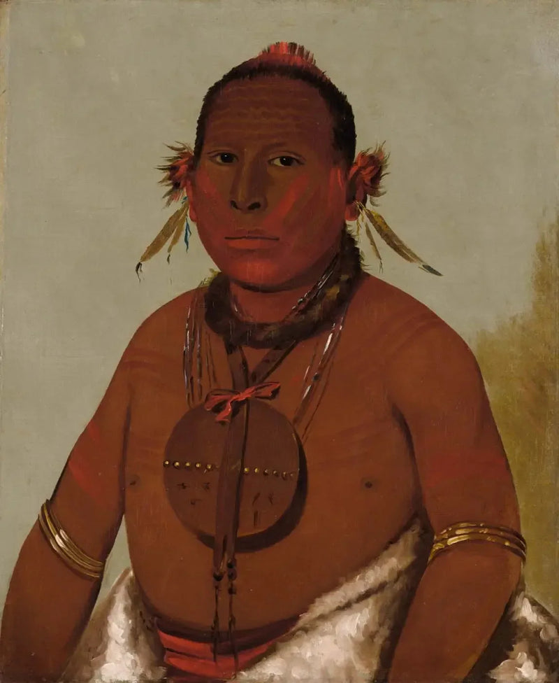 ブラック・ファルコンの最年少の息子、雷鳴を轟かせるワサウミサウ

Source:
Wa-sáw-me-saw, Tonnerre rugissant, le plus jeune fils du Faucon noir - George Catlin