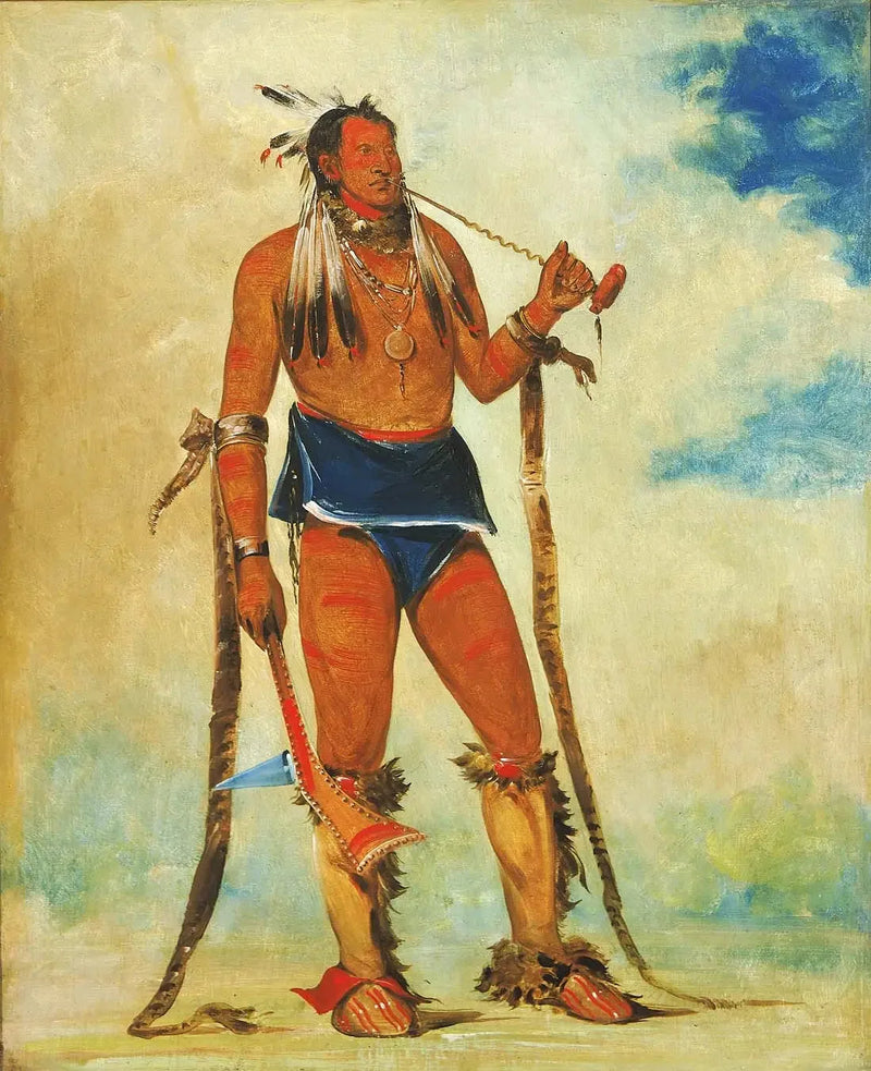 ワーチーハースカ、すべてを外に出す男 - ジョージ・キャトリン

Source:
Wah-chee-háhs-ka, l'homme qui met tout dehors - George Catlin