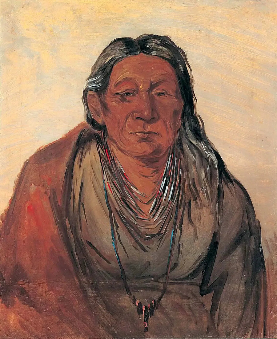 ワペセシー、シェフの母 - ジョージ・キャトリン

Source:
Wah-pe-séh-see, Mère du Chef - George Catlin