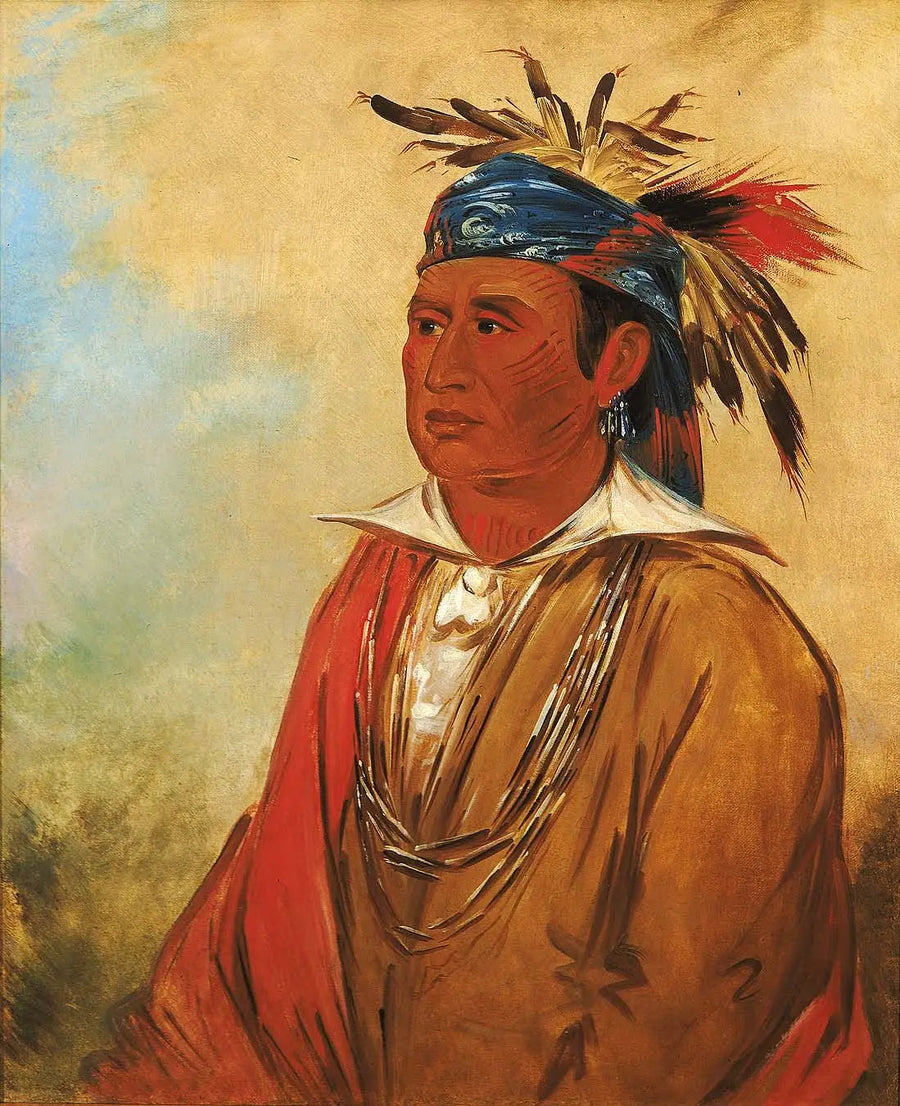 ワポンジー、白鳥、戦士 - ジョージ・キャトリン

Source:
Wah-pón-jee-a, Le Cygne, un Guerrier - George Catlin