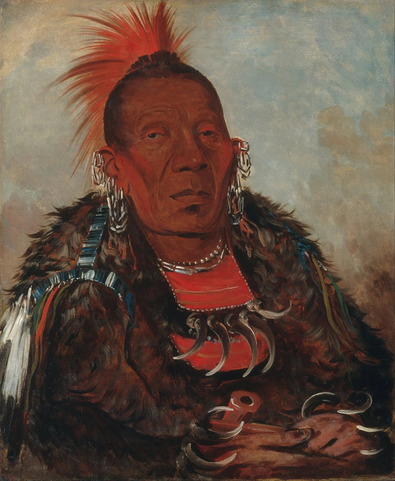 ワーロネーサ、囲い手族の長 - ジョージ・キャトリン

Source:
Wah-ro-née-sah, l'encercleur, chef de la tribu - George Catlin