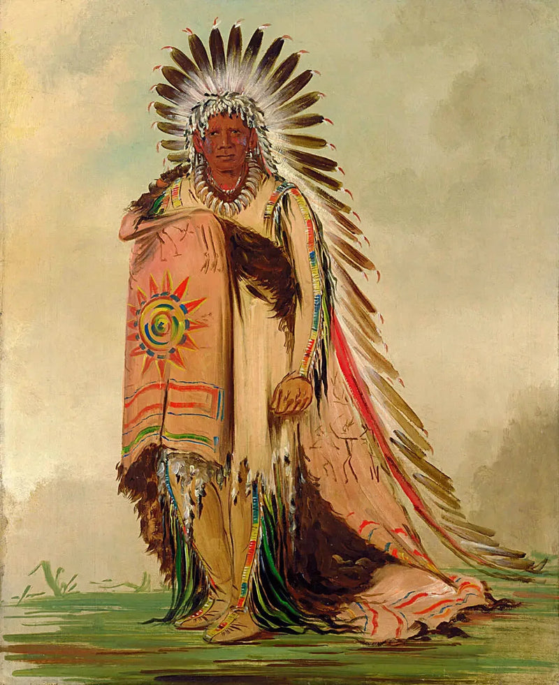 ワニー・トン、部族の長 - ジョージ・キャトリン

Source:
Wán-ee-ton, chef de la tribu - George Catlin