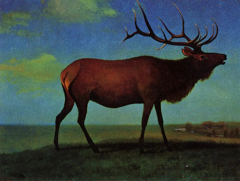 ワピチ雄 - アルバート・ビアスタット

Source:
Wapiti mâle - Albert Bierstadt