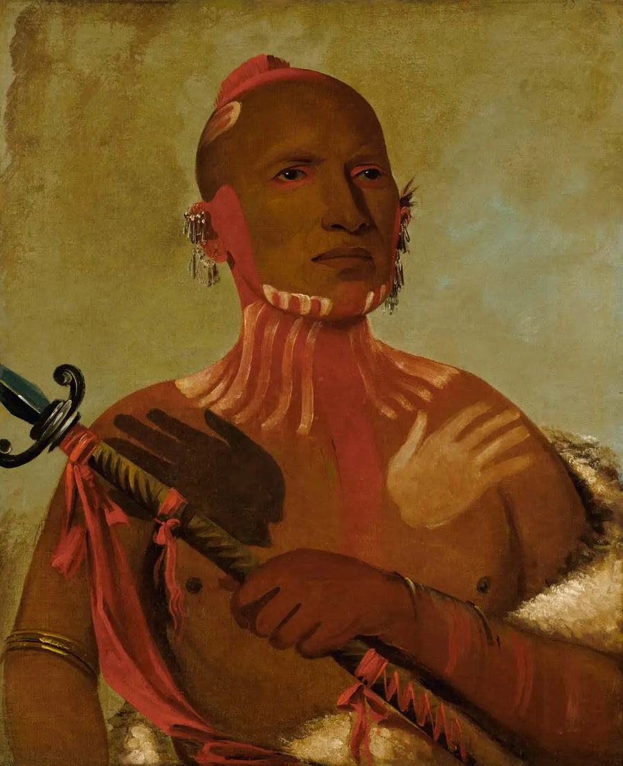 ウィーシート、チョウザメの頭、キツネ戦士 - ジョージ・キャトリン

Source:
Wée-sheet, tête d'esturgeon, un guerrier renard - George Catlin