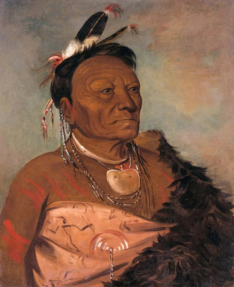 ウィータラシャロ、部族の長 - ジョージ・キャトリン

Source:
Wee-tá-ra-shá-ro, chef de la tribu - George Catlin