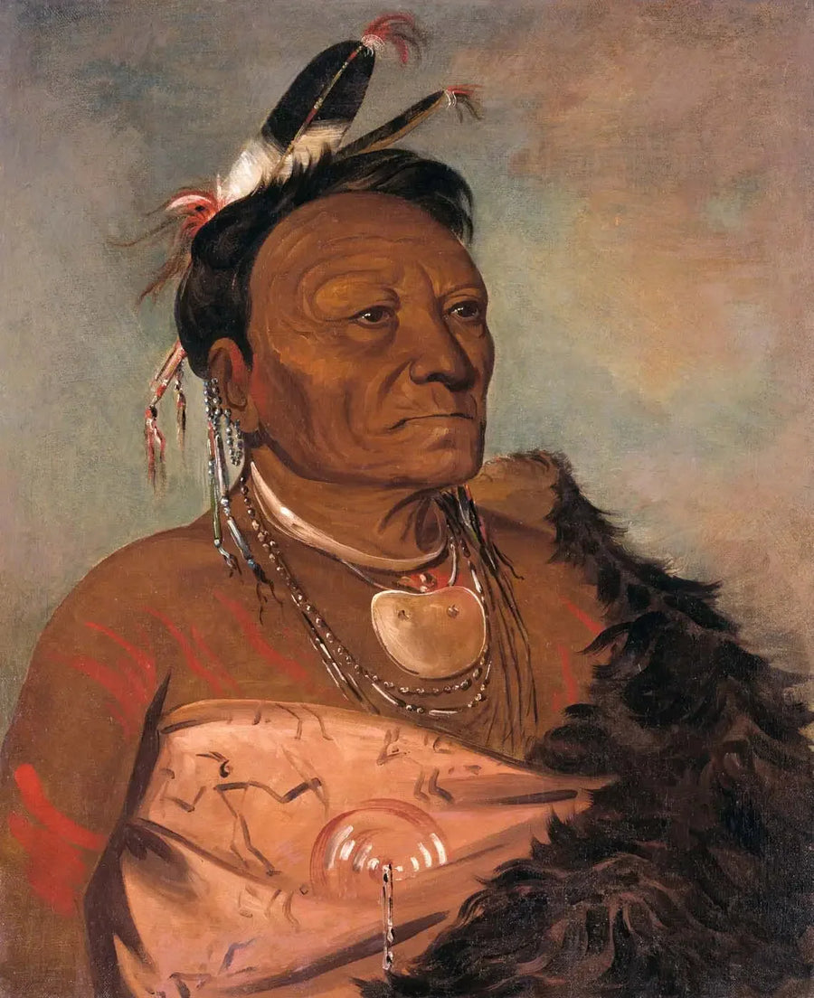 ウィータラシャロ、部族の長 - ジョージ・キャトリン

Source:
Wee-tá-ra-shá-ro, chef de la tribu - George Catlin