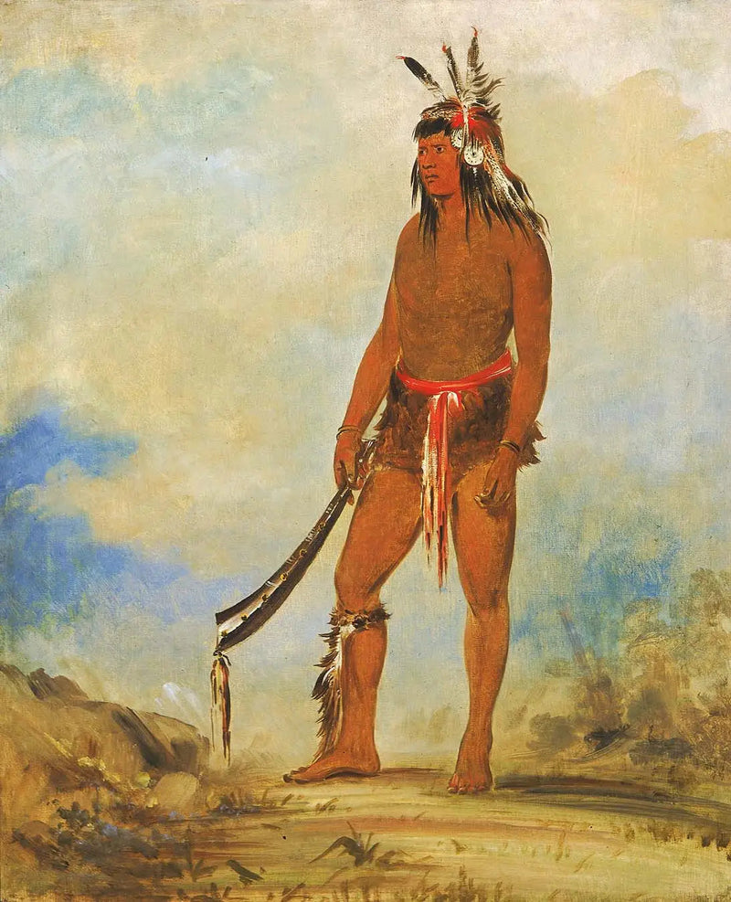 ウォンドーター、ザ・マーベル - ジョージ・キャトリン

Source:
Won-de-tów-a, la merveille - George Catlin