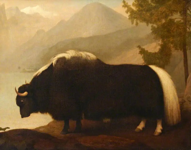 ヤク - ジョージ・スタッブス

Source:
Yak - George Stubbs